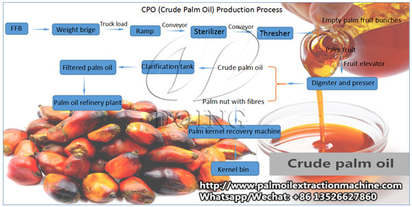 palm oil processing process 