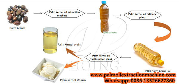 manufacture-palm-kernel-oil-production-process-low-cost-price-for-sale