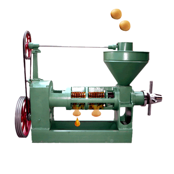 black seed oil press machine 