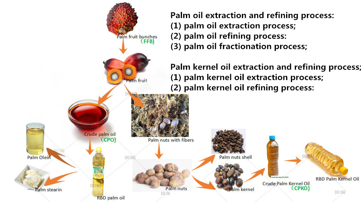 Products Of Palm Oil Extraction And Refining Palm Oil Extraction FAQ 