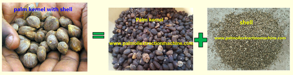 palm nut cracking and separating machine 