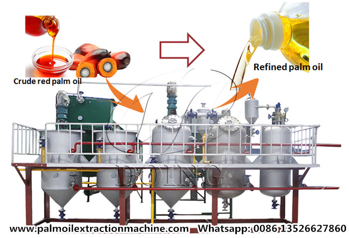 why-is-palm-oil-refined-what-is-the-purpose-of-palm-oil-refining-palm