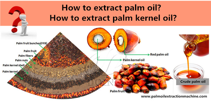 palm oil processing 