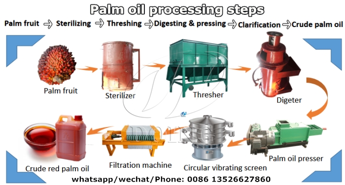 palm oil processing steps