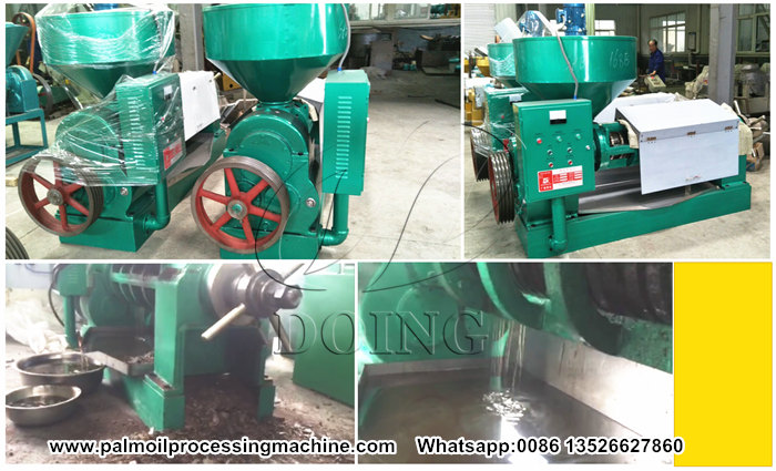 Palm number Oil expeller machine