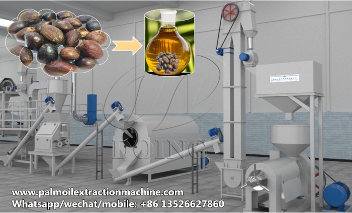 palm kernel oil extraction machine