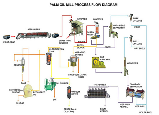 What should be paid attention to in making the design and layout of palm oil mill plant?